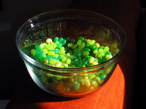 picture-010 An artistic picture of green jellybeans taken by a teacher