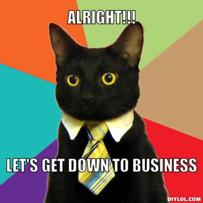 resized_business-cat-meme-generator-alright-let-s-get-down-to-business-6809fa.jpg