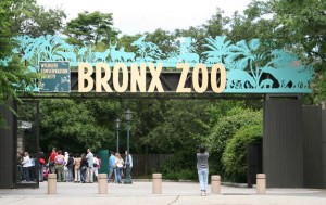 bronx-zoo-front-gates At the gates!