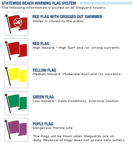 Image result for What do the beach flags mean in Florida?