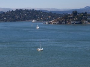 Tiburon from Angel Island (photo by Patricia A Leslie, artist / author)