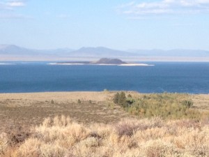 Mono Lake (courtesy of Kelly Lyman)