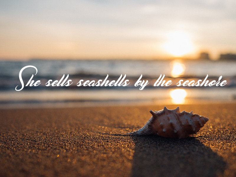 She sells seashells
