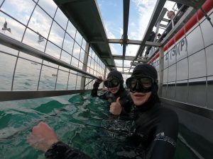 Nick S, our FCE exam prep student went shark cage diving CAE student goes shark cage diving