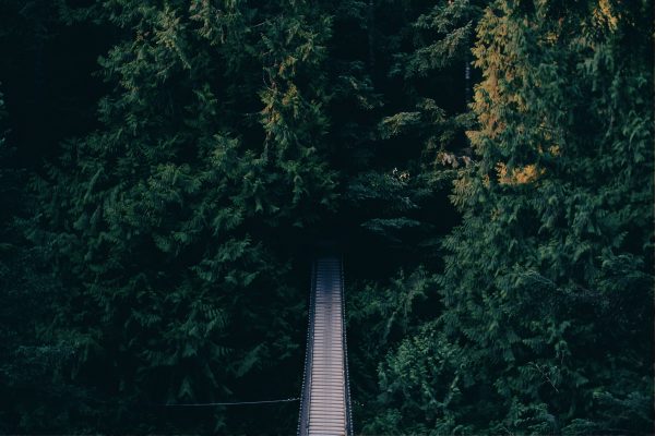 Vancouver's Nature is Beautiful all around