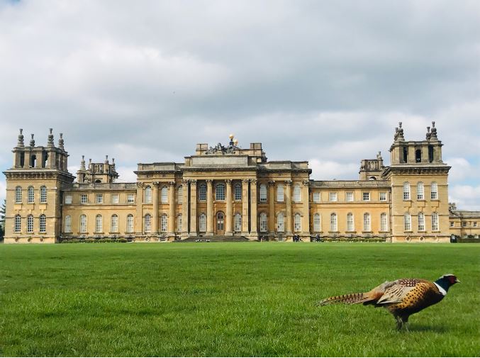 Blenheim Palace