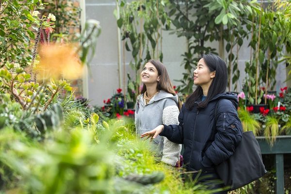 Visita i giardini botanici di Auckland