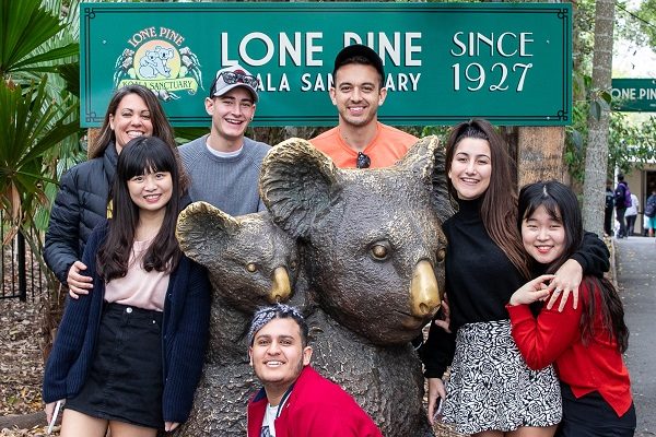Reserva De Koalas