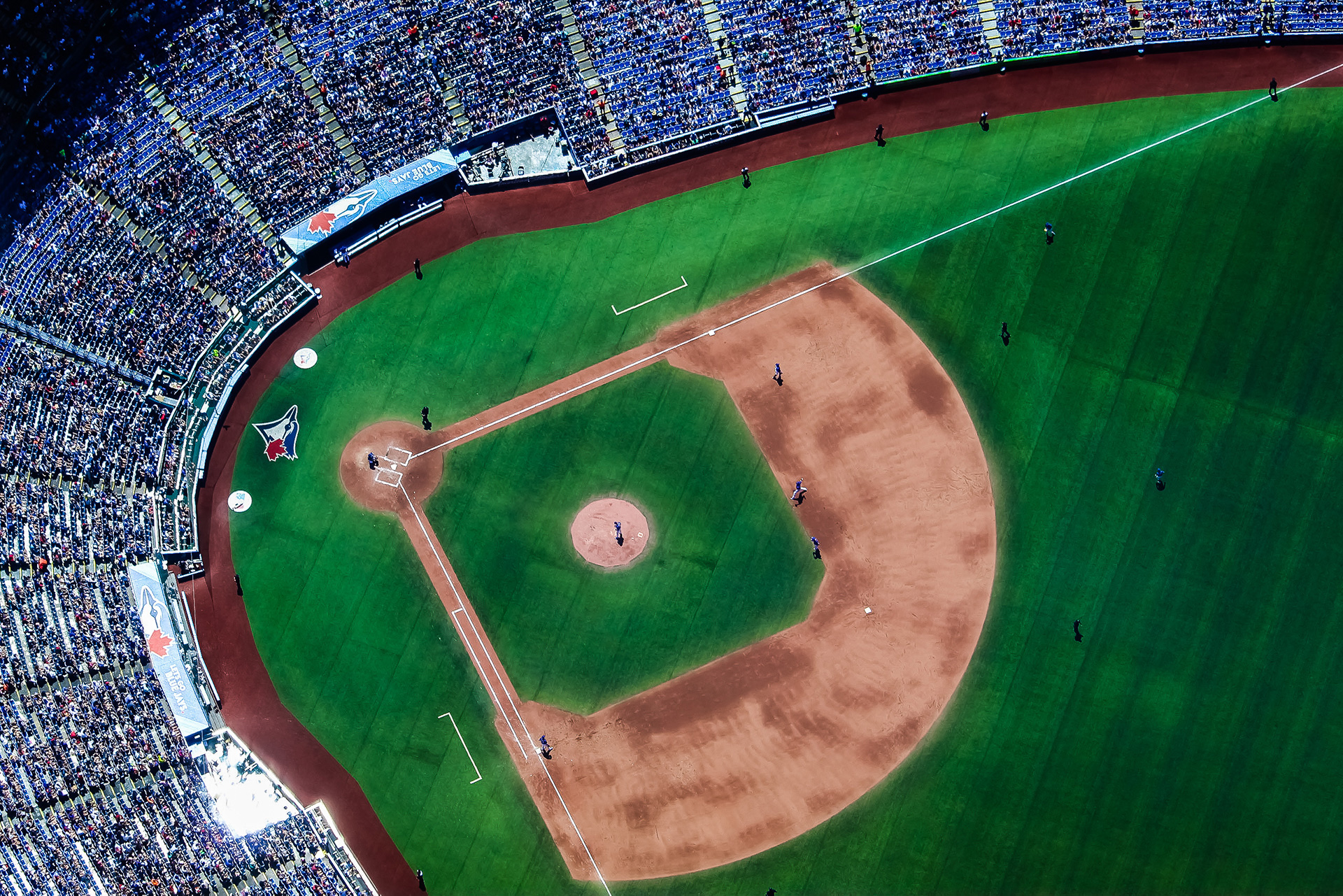 Toronto Blue Jays