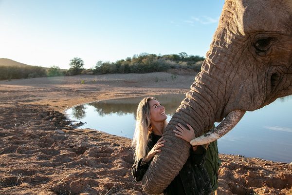 Faça um safári na Cidade do Cabo