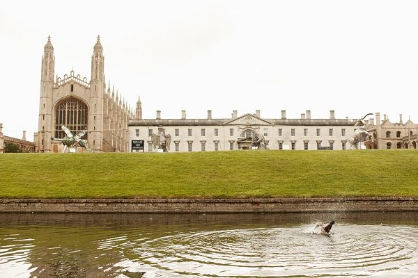 Universidade de Cambridge