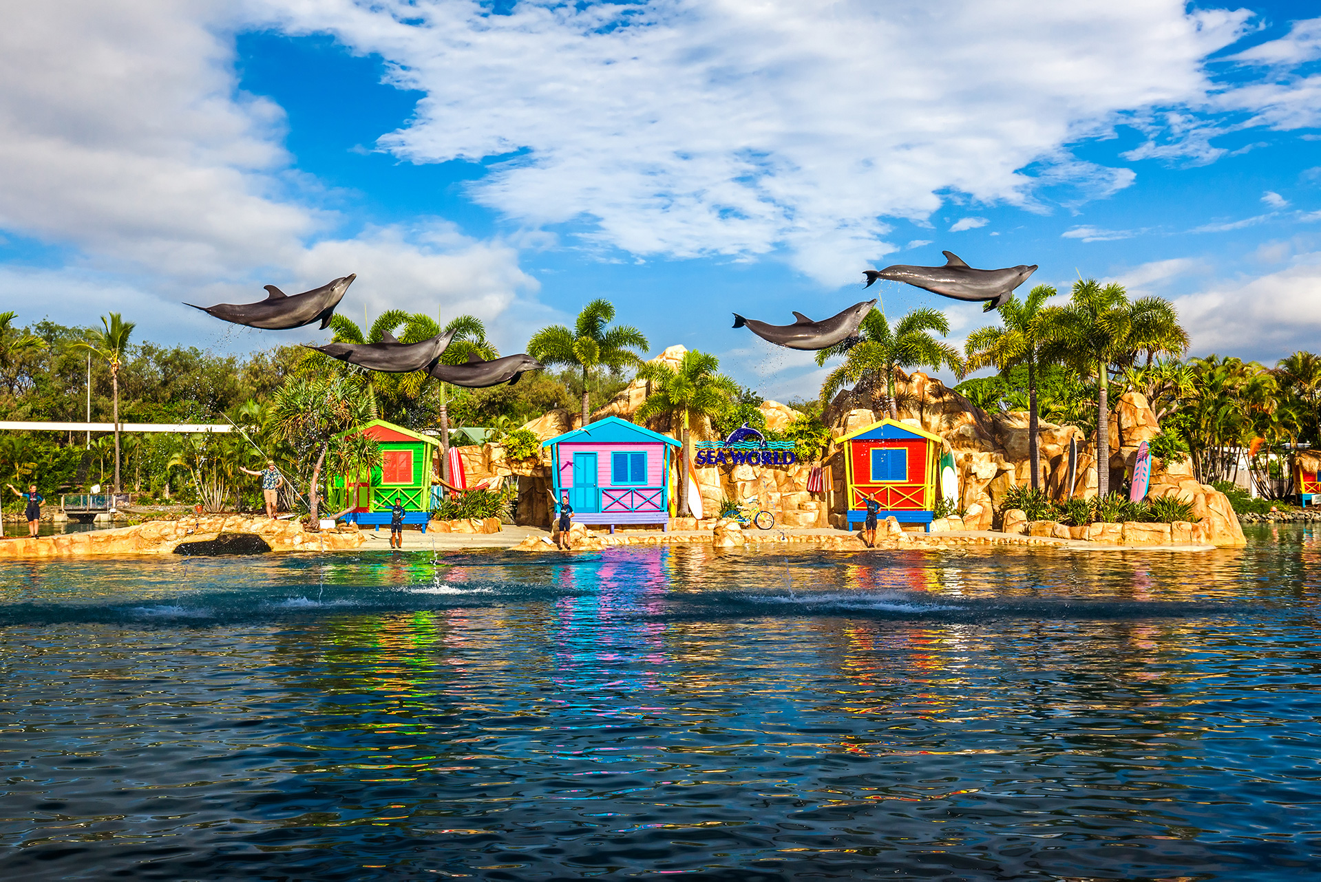 Show de Golfinhos no Sea World, Gold Coast